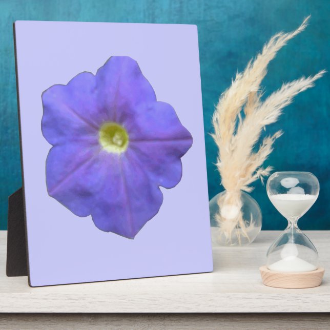 Photo Plaque de Petunia bleue (Côté)