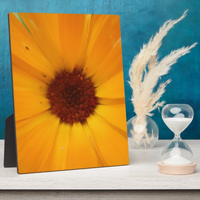 Photo Plaque de pluie orange (Côté)