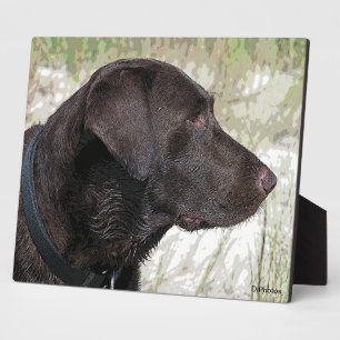 Photo Plaque de profil du Labrador de chocolat