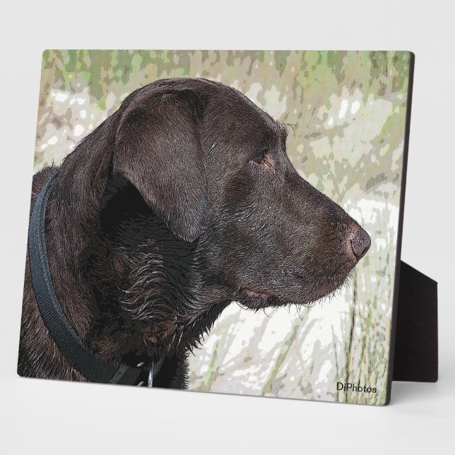 Photo Plaque de profil du Labrador de chocolat (Côté)