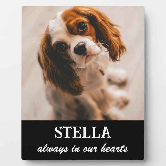 Photo Plaque de souvenir pour animaux de compagnie (Devant)