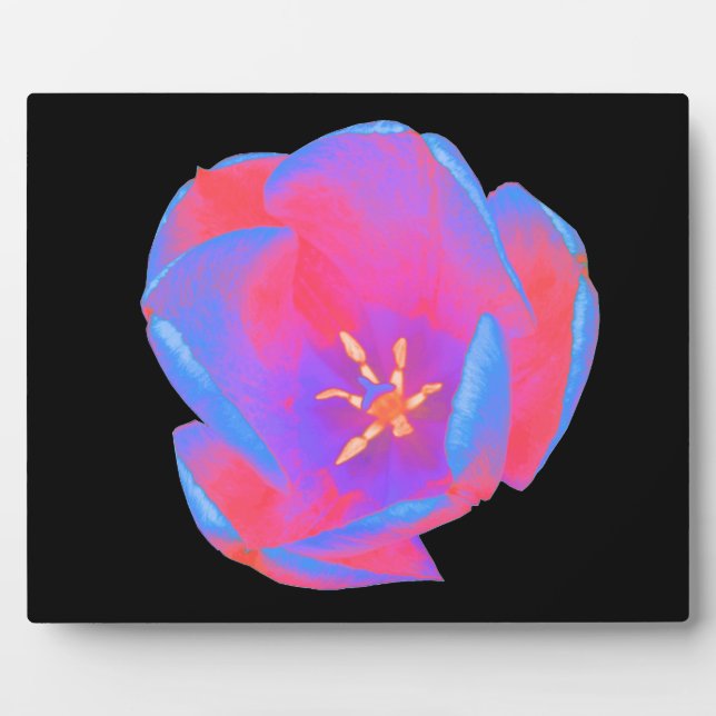 Photo Plaque de tulipe fluorescente (Devant)