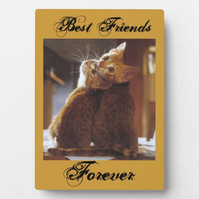 Photo Plaque des meilleurs amis (Devant)
