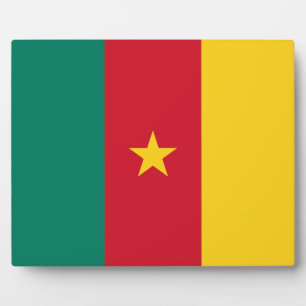 Photo Plaque du drapeau du Cameroun