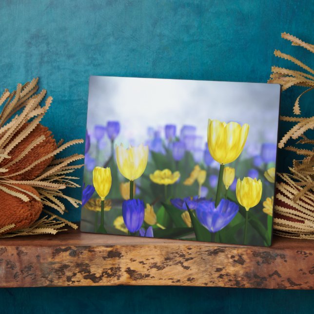 Photo Plaque du Jubilé d'or (Côté)