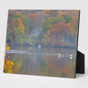 Photo Plaque du matin d'automne