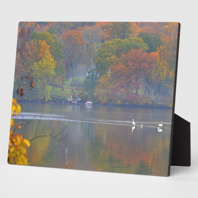 Photo Plaque du matin d'automne (Côté)
