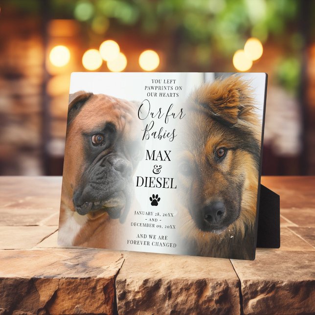Photo Plaque Funéraire pour 2 Animaux de Compagnie Chics (Créateur téléchargé)