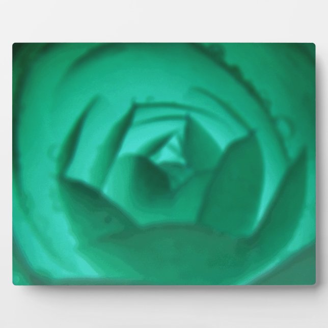 Photo Plaque hypnotique Camellia (Devant)