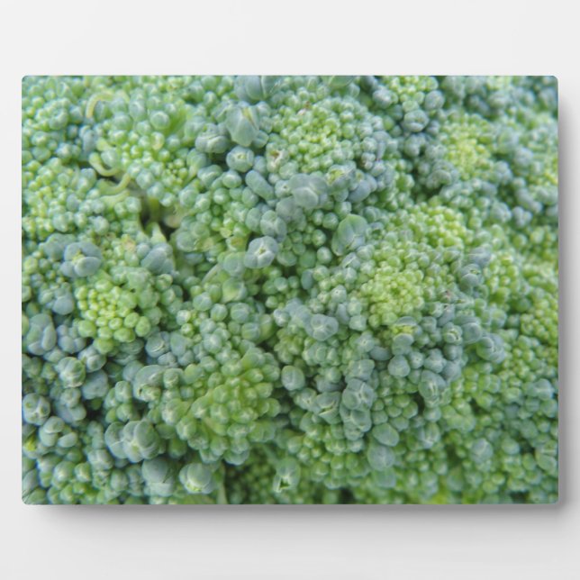 Photo Plaque macro Broccoli (Devant)