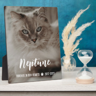 Photo Plaque Mémorielle Chat Nom en Écriture Dans Nos Cœ