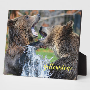 Photo Plaque photo-Yellowstone Bears Plaque
