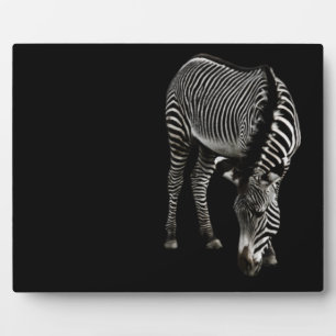 Photo Plaque Zebra P4435