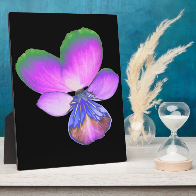 Photo Plutôt Pansy Plaque (Côté)