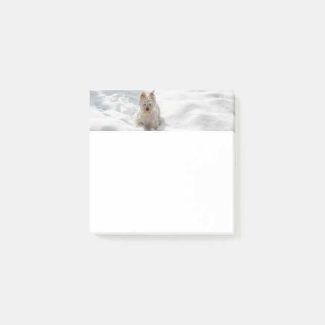 Photo Post-it Photo Pad Photo Chien blanc neigeux (Devant)