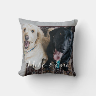 Photo pour animaux de compagnie moderne Coussin de