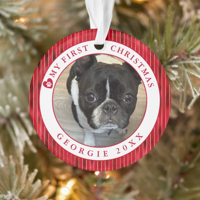 Photo pour animaux Mon premier Noël (Arbre)