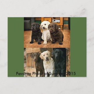 Photo préférée de 2015 : Carte postale