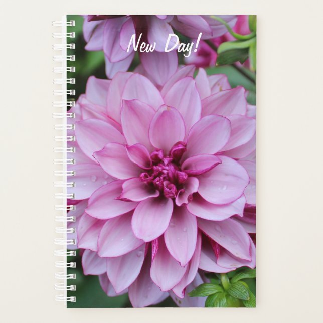 Photo Purple Daliha Bloom (Devant)