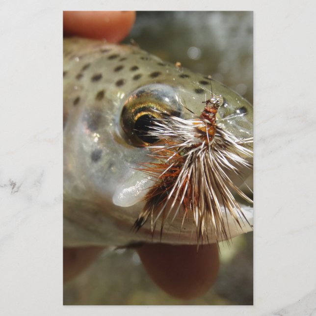 Photo Rainbow Trump (Devant)