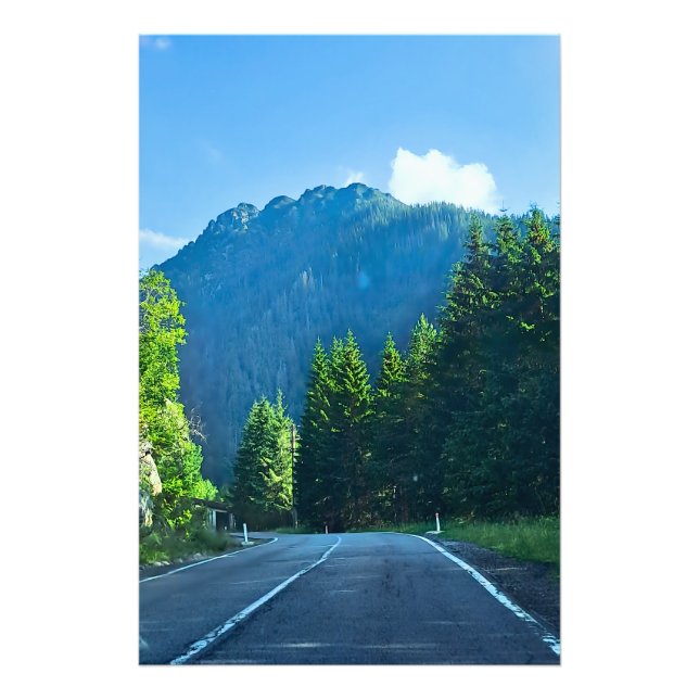 Photo Route forestière des Carpates – Impression de mont (Devant)