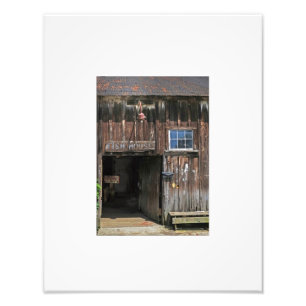 Photo rustique de Chambre de dock de poissons