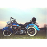 PHOTO SCULPTURE 1978 FLH<br><div class="desc">1978 FLH 1200 CC</div>