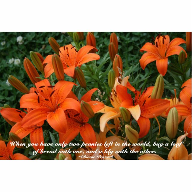 Photo Sculpture Acheter une citation Lily Orange Lily Photo Sculpt (Devant)