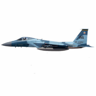 Photo Sculpture Agresseur bleu F-15 Eagle