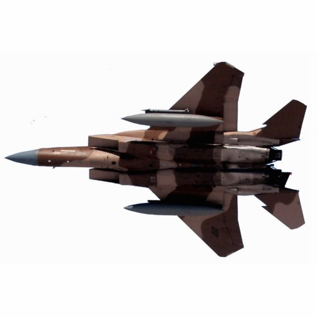 Photo Sculpture Agresseur bronzage F-15 Eagle (Devant)