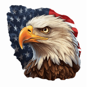 Photo Sculpture Aigle à drapeau américain