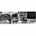 Photo Sculpture Aimant/sculpture de coupe-circuit de photos de<br><div class="desc">Considéré éteint depuis 1936,  ces photographies représentent les dernières images des Thylacines vivants. Ont-elles pu néanmoins être là ?</div>