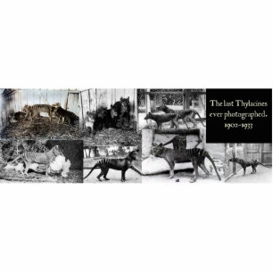 Photo Sculpture Aimant/sculpture de coupe-circuit de photos de