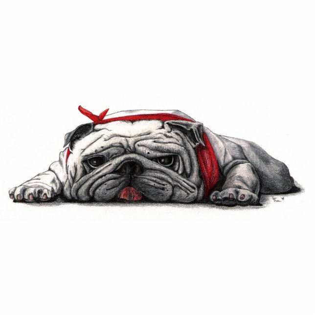 Photo Sculpture AMI de BUREAU de CHIEN de BULL customisé (Devant)