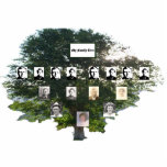 Photo Sculpture Arbre de la famille Elm d'été de quatre génération<br><div class="desc">Ce graphique de quatre générations d'arbres familiaux est affiché sur une statuette photo découpée d'un orme. L'orme est en pleine feuille en été. Personnalisez avec vos propres photos. Si vous avez des problèmes avec la personnalisation,  veuillez me contacter à jen@jenaleefamilystorykeeper.com</div>