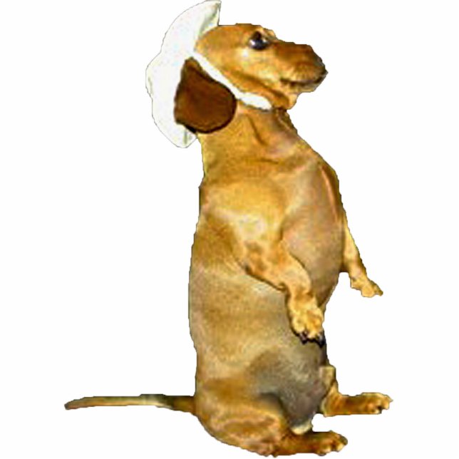 Photo Sculpture Assis Jolie sculpture Dachshund (Devant)