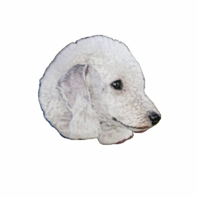 Photo Sculpture Bedlington Terrier (Devant)