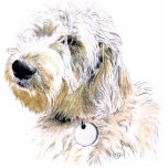 Photo Sculpture Beurre la sculpture en Labradoodle<br><div class="desc">Beurre le Labradoodle</div>