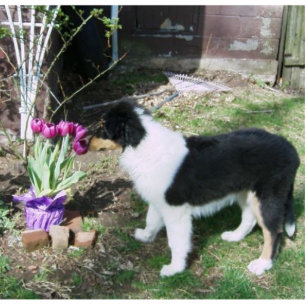 Photo Sculpture Braedyn sent les fleurs (PHOTOSCULPTURE)