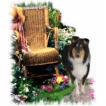 Photo Sculpture Cadeaux d'art Collie Tri-Color<br><div class="desc">Dans mon jardin d'été, les fleurs sont en fleurs, Ils m'ont donné leur parfum pour dissiper ma tristesse. Il attend mon Collie, parce que nous savons tous les deux que là où nous sommes ensemble, l'amour grandira sûrement. L'art Tri-Color Rough Collie, d'une beauté exceptionnelle, capte l'air de dévotion sur cette...</div>