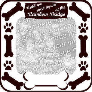 Photo Sculpture Cadre d'os de chien de pont en arc-en-ciel