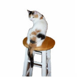 Photo Sculpture Calico Cat<br><div class="desc">Un chat calico assis sur un tabouret de cuisine fait l'objet de cette sculpture photo</div>