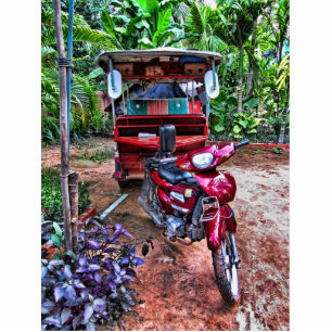 Photo Sculpture Cambodgien Tuk-Tuk 1