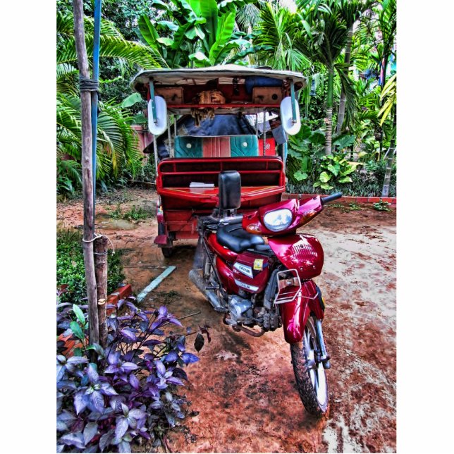 Photo Sculpture Cambodgien Tuk-Tuk 1 (Devant)