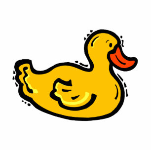 Photo Sculpture Canard de Dappy