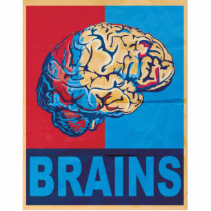 Photo Sculpture Cerveau Zombie