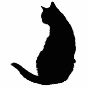 Photo Sculpture Chat noir