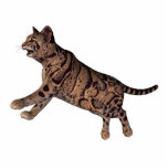 Photo Sculpture chat sauvage<br><div class="desc">Un beau chat sauvage</div>