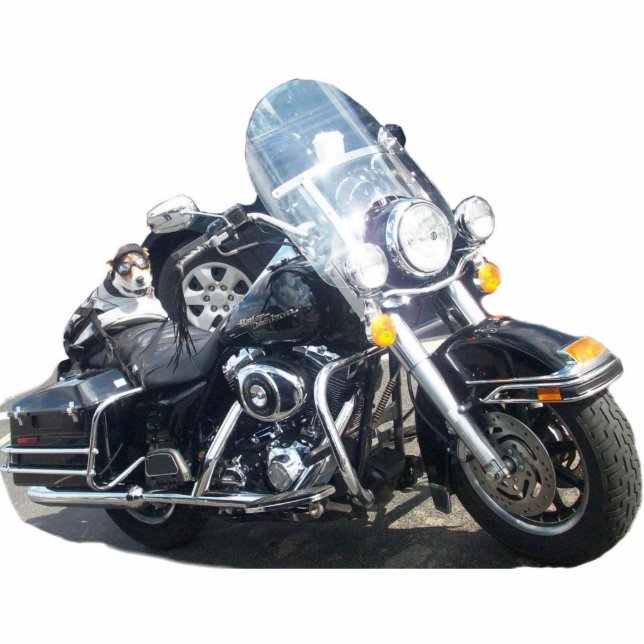 Photo Sculpture Chien de porc (Devant)