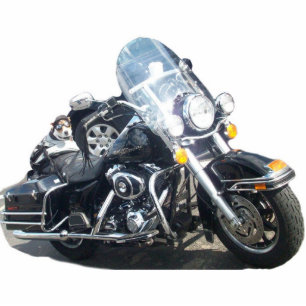 Photo Sculpture Chien de porc